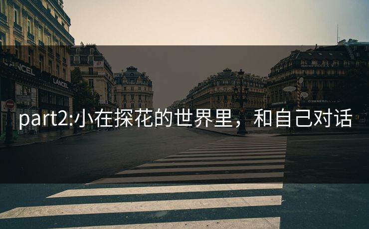 part2:小在探花的世界里，和自己对话