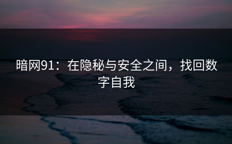 暗网91：在隐秘与安全之间，找回数字自我