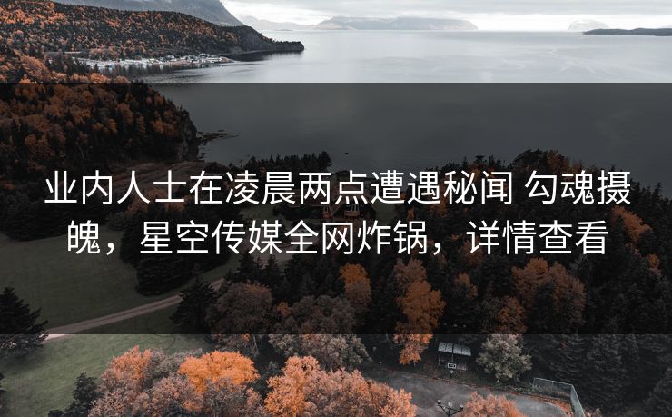 业内人士在凌晨两点遭遇秘闻 勾魂摄魄,星空传媒全网炸锅,详情查看 业内人士在凌晨两点遭遇秘闻 勾魂摄魄,星空传媒全网炸锅,详情查看